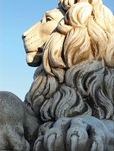Large lion statue head resting lions marble statuary lions sculpture 