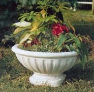 Small Vase olymphia Olimphia flower  pot 